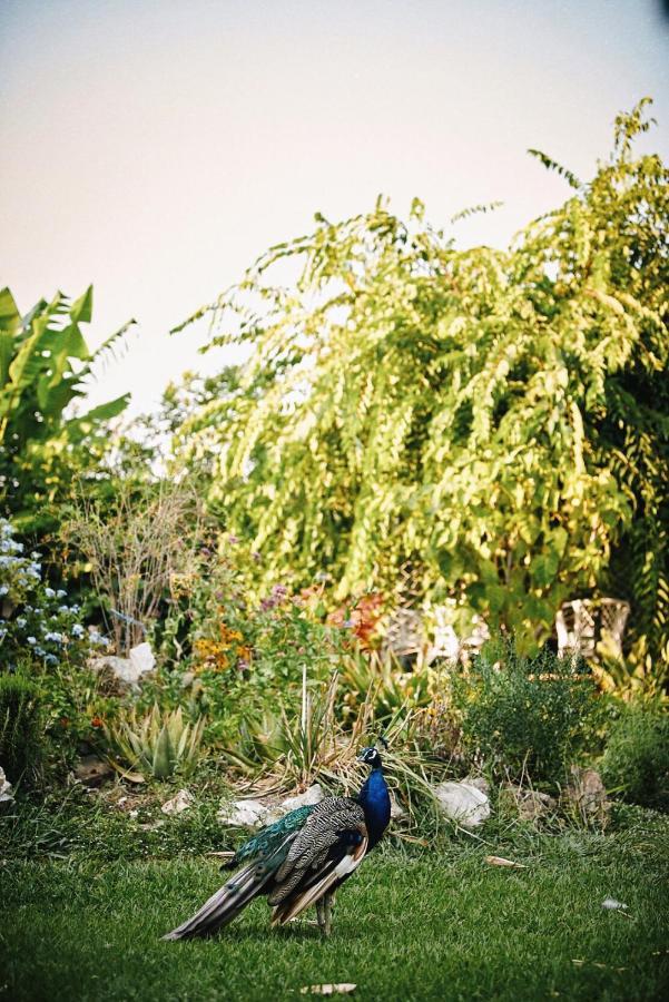 The Artist'S Farm Villa Dhiyeliotika Exterior photo